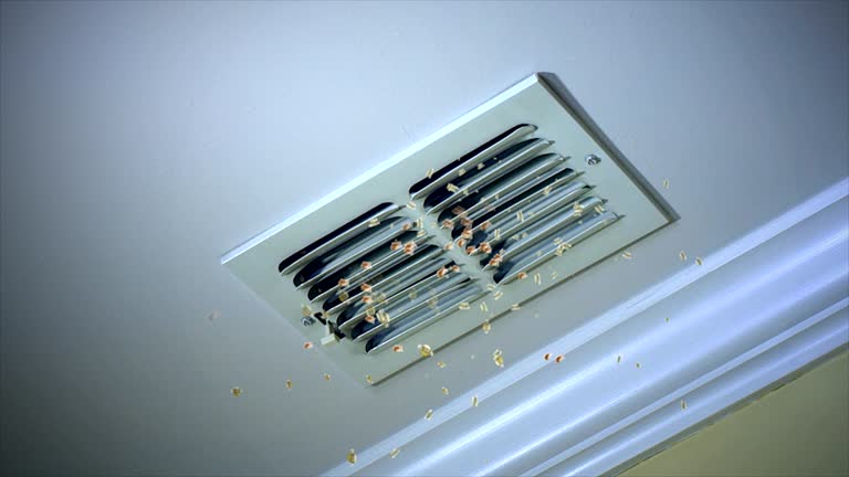 Best Professional Duct Cleaning Services  in Cary, NC