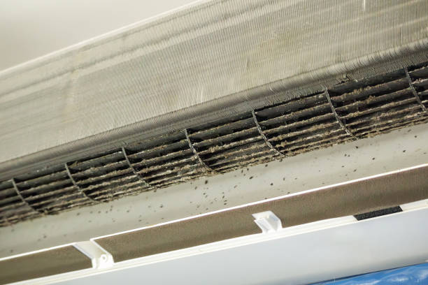Best Air Duct Cleaning Near Me in Cary, NC
